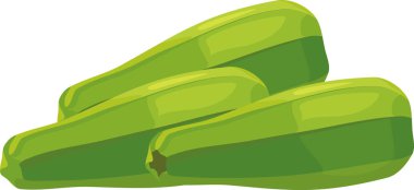 Beyaz arka plan üzerinde izole üç yeşil taze kabak