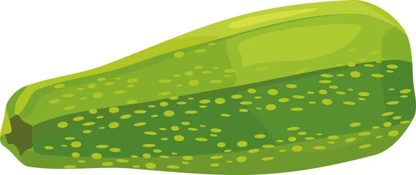 Hijau Segar Zucchini Terisolasi Latar Belakang Putih - Stok Vektor