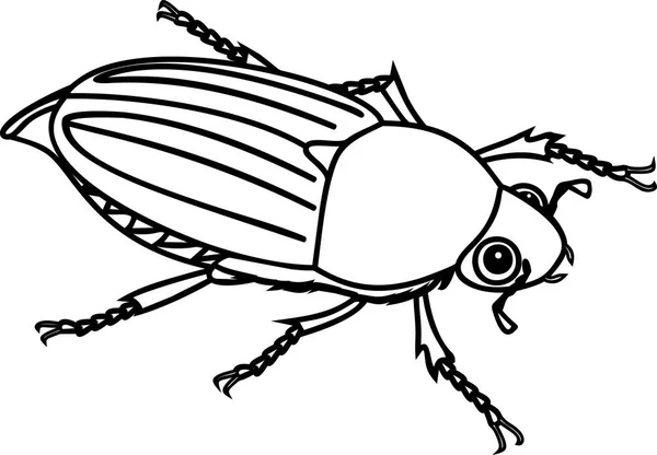 Disegno Colorare Con Cockchafer Femmina Bug Maggio Isolato Sfondo Bianco — Vettoriale Stock