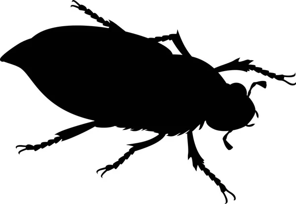 Silhouette Nera Cockchafer Femminile Bug Maggio Isolato Sfondo Bianco — Vettoriale Stock