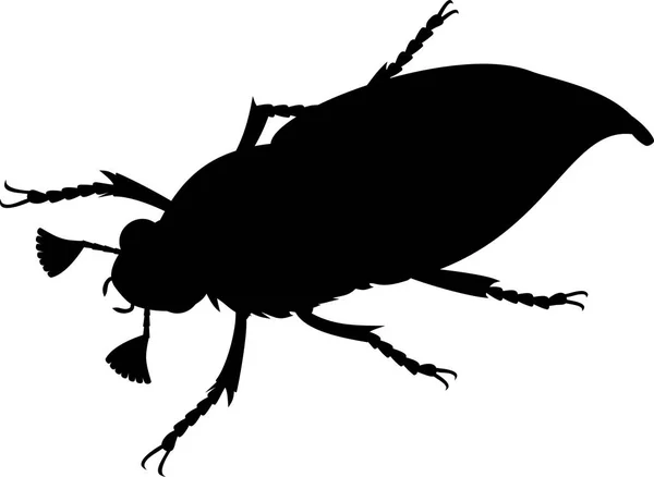 Silhouette Nera Cockchafer Maschile Bug Maggio Isolato Sfondo Bianco — Vettoriale Stock