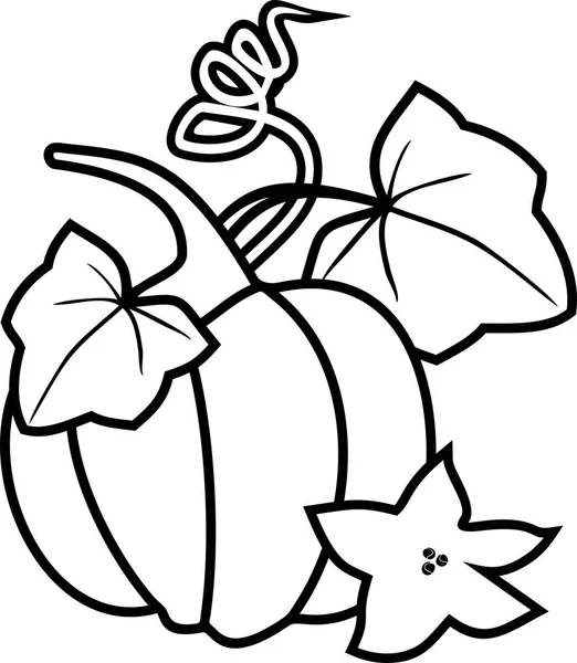 Coloring Page Ripe Pumpkin Tendril Two Leaves Flower — Stock Vector