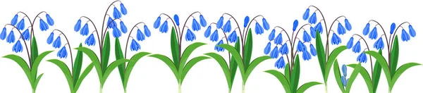 Frontera Flores Primavera Con Flor Azul Escama Siberiana Scilla Siberica — Vector de stock