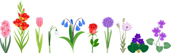 Gran Conjunto Diferentes Flores Jardín Aisladas Sobre Fondo Blanco — Vector de stock