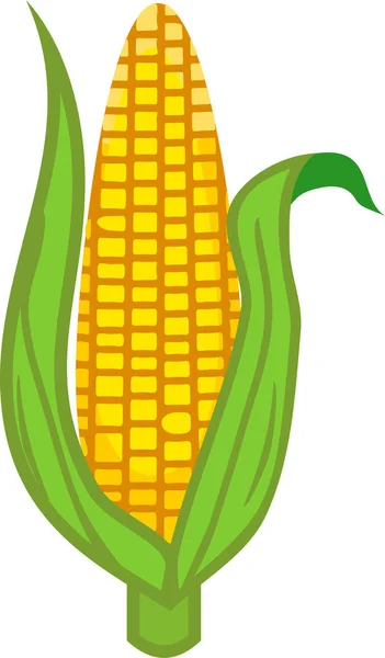 Спелые Желтые Кукурузы Ухо Зеленой Оболочкой Изолированы Белом Фоне — стоковый вектор