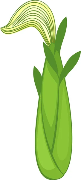 Незрелый Зеленый Кукурузный Ухо Оболочкой Стилей Шелка Изолированы Белом Фоне — стоковый вектор
