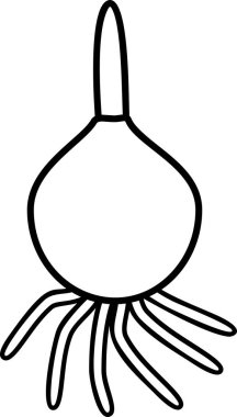 Kökleri ve filizleri olan çiçek soğanıyla renklendirme sayfası