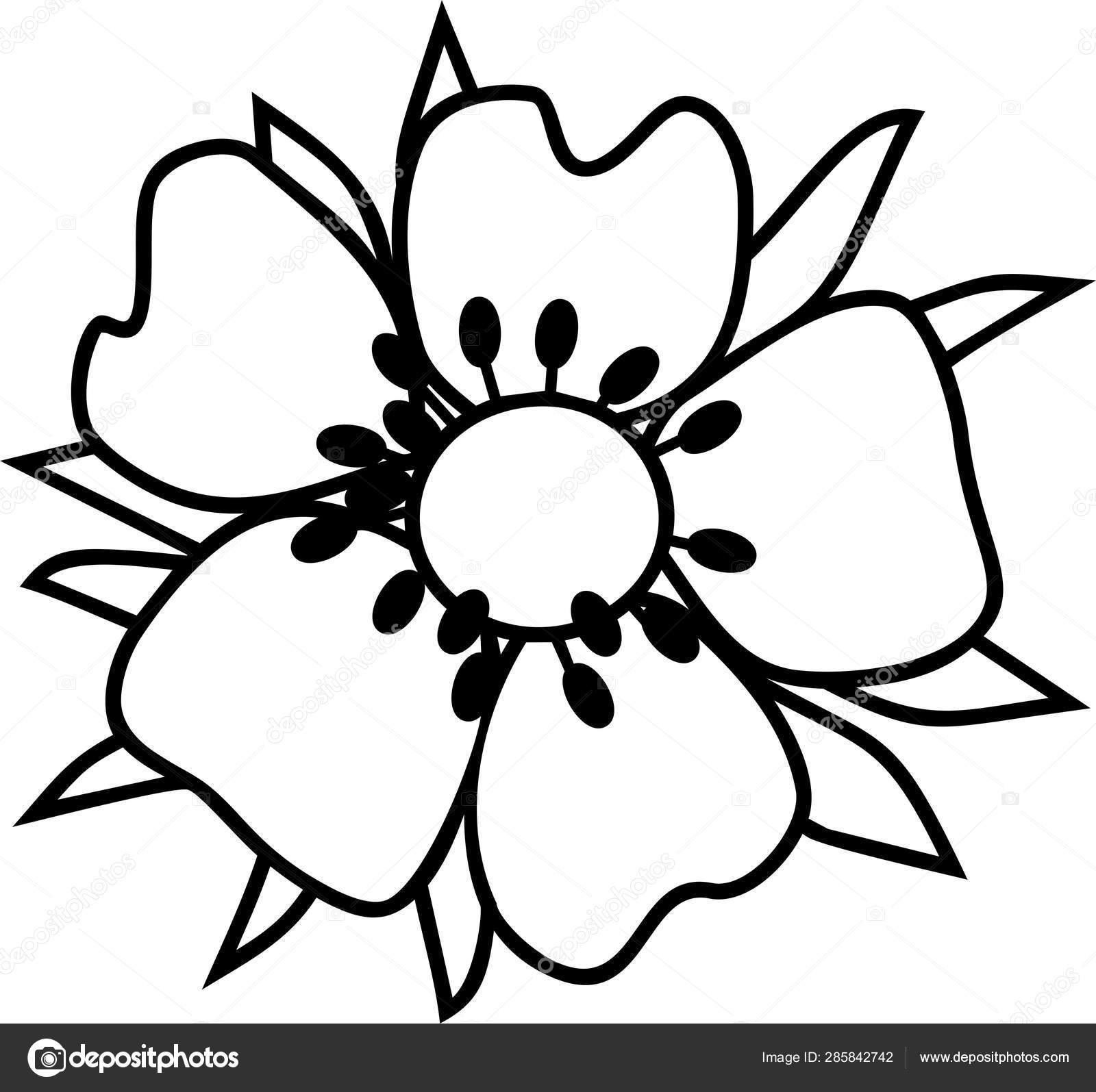 Coloring Page Strawberry Flower Vector Image By C Mariaflaya Vector Stock 285842742