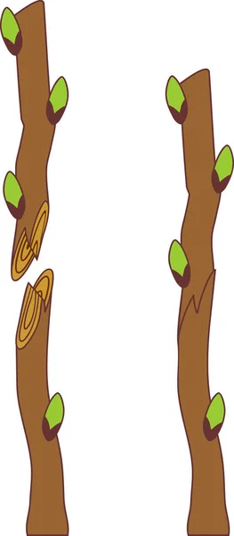 Frühjahrspflanzbaum Peitsche Und Zungenpfropfen — Stockvektor