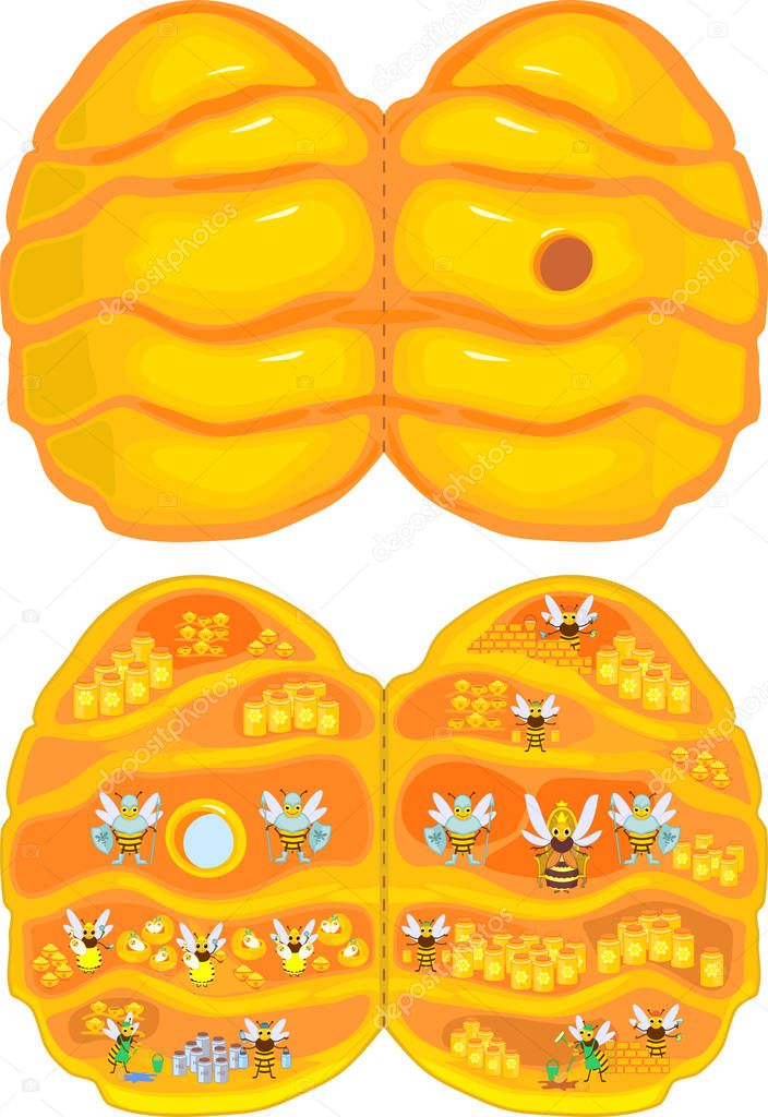 Internal structure of beehive. Yellow cartoon beehive and honey bee family