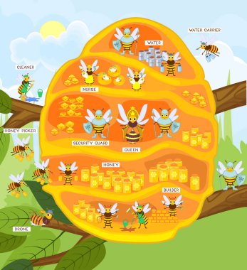 Yellow cartoon beehive on tree branch and honey bee family. Internal structure of beehive clipart