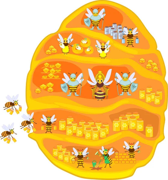 Gele Cartoon Bijenkorf Honey Bee Familie Geïsoleerd Witte Achtergrond Interne — Stockvector