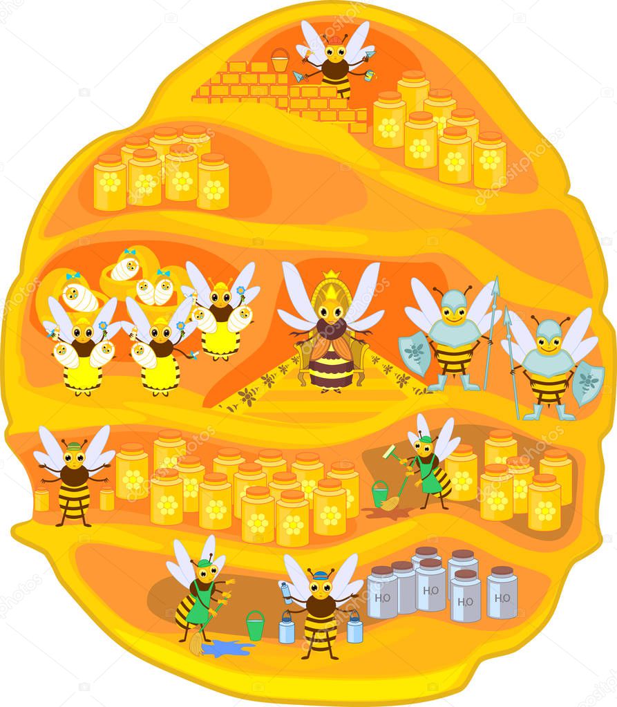 Yellow cartoon beehive and honey bee family isolated on white background. Internal structure of beehive