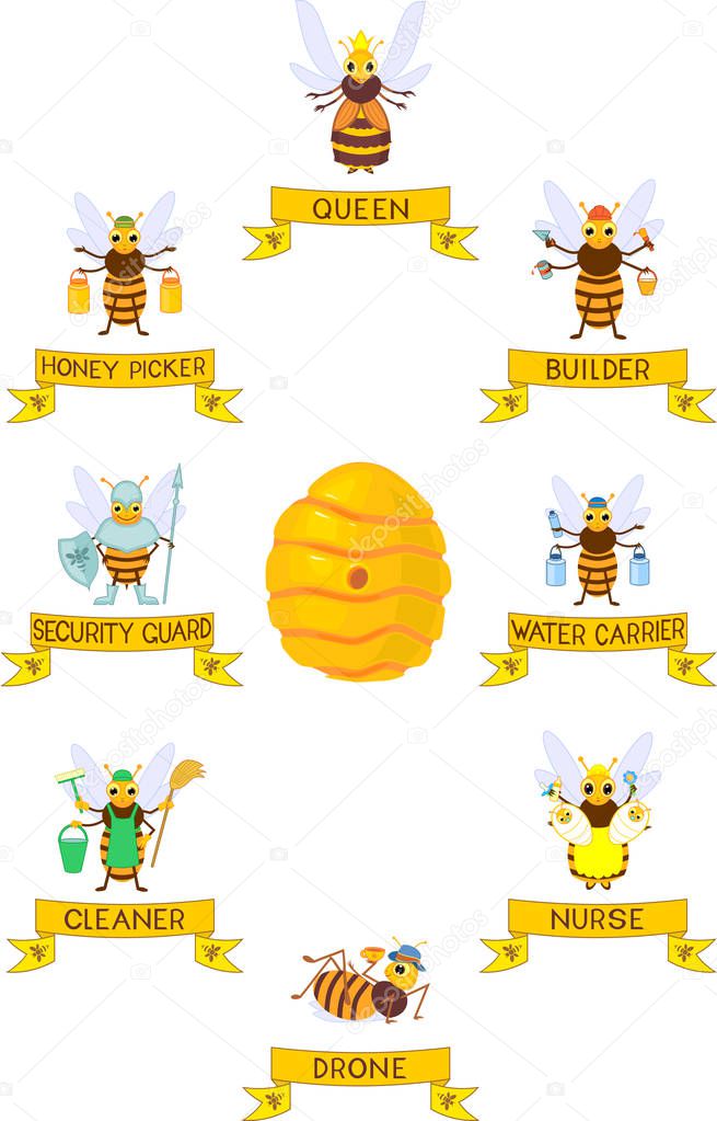 Set of different cartoon bee social castes with titles isolated on white background