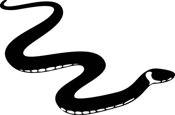 Silhouette Noire Serpent Herbe Natrix Natrix Isolé Sur Fond Blanc — Image vectorielle