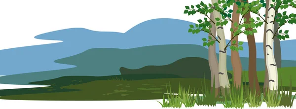 Landskap Med Björkar Förgrunden Och Grönt Gräs — Stock vektor