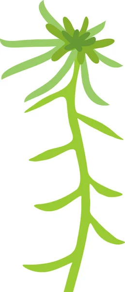 Зелений Сфагнум Торф Яний Мох Ізольований Білому Тлі — стоковий вектор