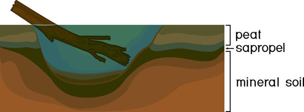  Sapropel and peat in nature. Structure of pond and marsh with bottom sediments