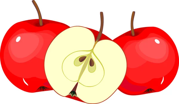 Drei Reife Rote Äpfel Ganz Und Längsschnitt Isoliert Auf Weißem — Stockvektor