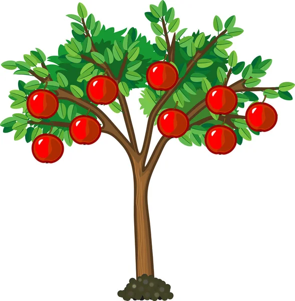 Yeşil Yapraklı Elma Ağacı Beyaz Arka Planda Olgun Kırmızı Meyveler — Stok Vektör
