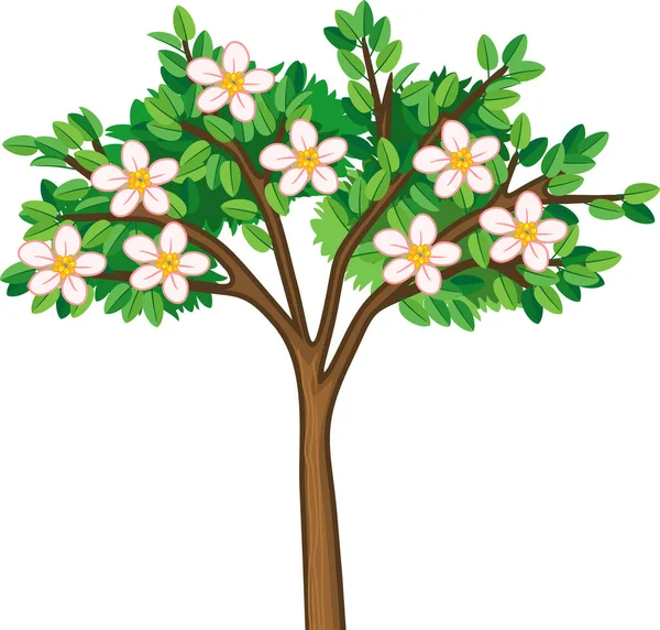 Bloeiende Appelboom Met Groene Bladeren Witte Achtergrond — Stockvector
