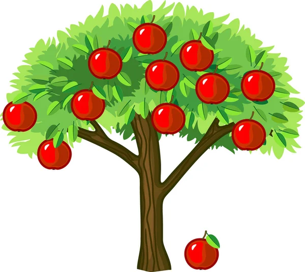 Apple Tree Green Leaves Ripe Red Fruit White Background — Stock Vector