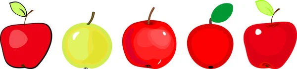 不同成熟的红色和绿色苹果 背景为白色 — 图库矢量图片