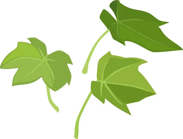 Grüne Blätter Der Weinrebe Isoliert Auf Weißem Hintergrund — Stockvektor