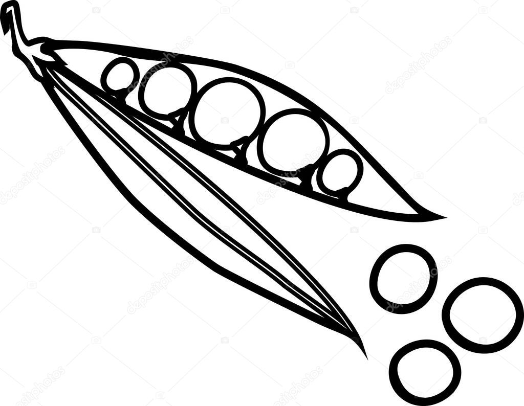 Peas In A Pod Coloring Page ✓ Coloring page. Opened pea pod with seeds premium vector in Adobe Illustrator ai ( .ai ) format, Encapsulated PostScript eps ( .eps ) format