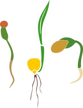  Beyaz arka planda izole edilmiş farklı bitki filizlerinin siluetleri