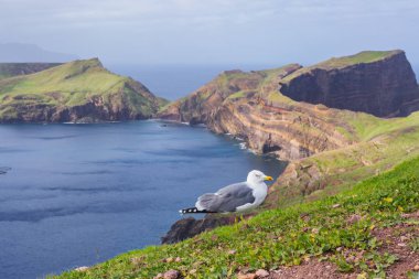 Cliffs East coast Madeira Adası'nda görüntüleyin. Ponta de Sao Lourenco. Portekiz.