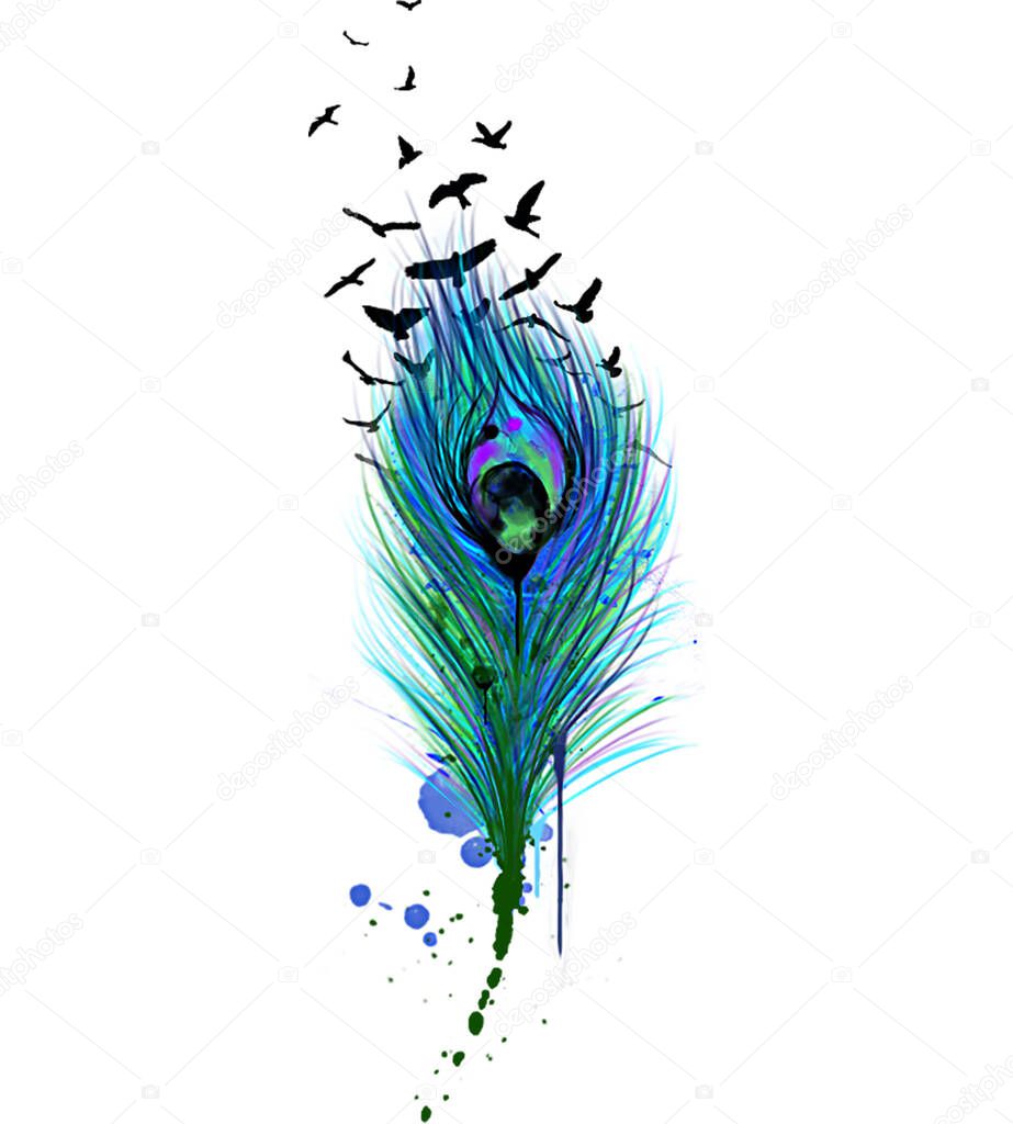 Peacock Feather Hand Drawn Illustration.Digital Art