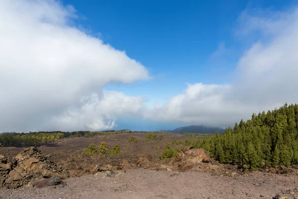 Sivatag Tenerifén. Lunar táj Tenerife nemzeti park.Vulkanikus hegyi táj, Teide Nemzeti Park, Kanári-szigetek, Spanyolország.Túrázás a hegyekben és a sivatagban — Stock Fotó