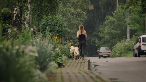 Дівчина Босоніж Робить Ранковий Біг Собаками Сільська Вулиця Літо Красиві — стокове відео