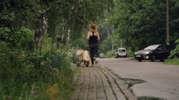 Chica Hace Una Carrera Matutina Con Perros Village Street Verano — Vídeos de Stock