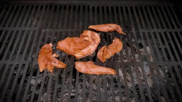 Kochen Auf Dem Grill Fleisch Und Hühnerstücke Voller Zeitraffer — Stockvideo