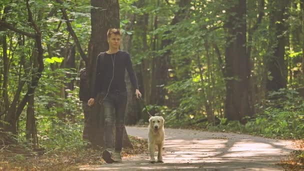 Egy fiatalember sétáltatja a kutyáját a parkban.. — Stock videók