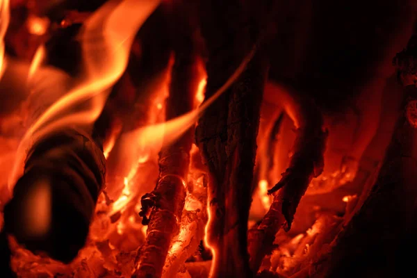 Flaming Charcoal Burning Camp Fire — Stock Photo, Image
