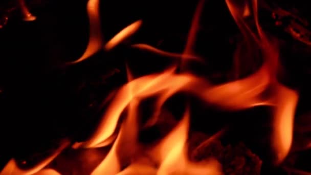 Super Zpomalení Detailní Záběr Hořící Jasné Požární Čáry Izolované Černém — Stock video