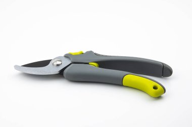 beyaz arkaplanda izole edilmiş ağaç makası