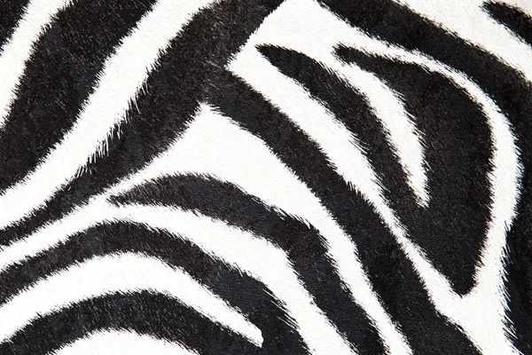 Zebra-Hintergrund schwarz-weiße Textur für das Design — Stockfoto