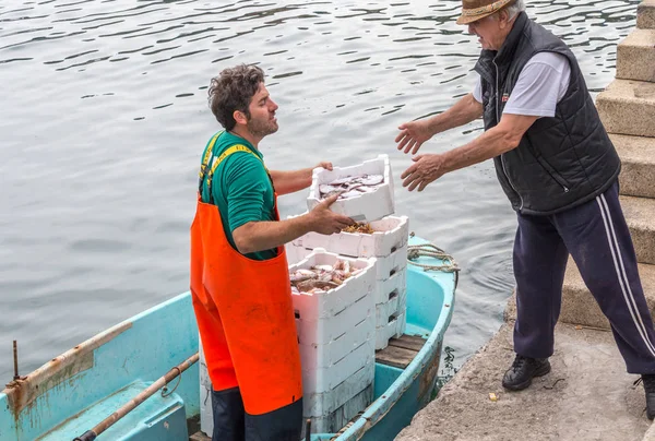 SANTA MARGARITA , ITALY - MAY 08, 2018: Fishermen selling their seafood catch to restaurant owners — Stock Photo, Image