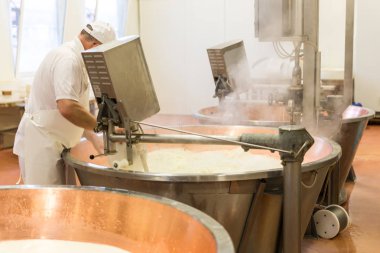 Parmesan peynir haşere işlem Bologna İtalya