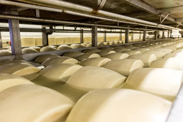 イタリアの工場でパルメザン チーズ塩 — ストック写真