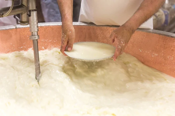 Parmesan cheese prduction process in Bologna Italy — Stock Photo, Image