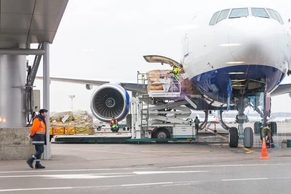 Vracht vóór vertrek in het luchtvaartuig laden — Stockfoto