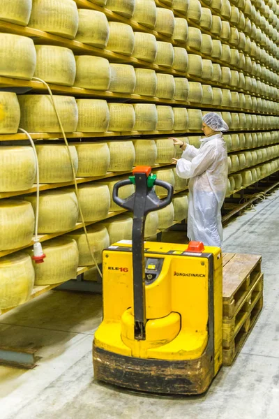 Bologna, İtalya - 02 Mayıs 2018: işçi Parm beyaz peynir teftiş