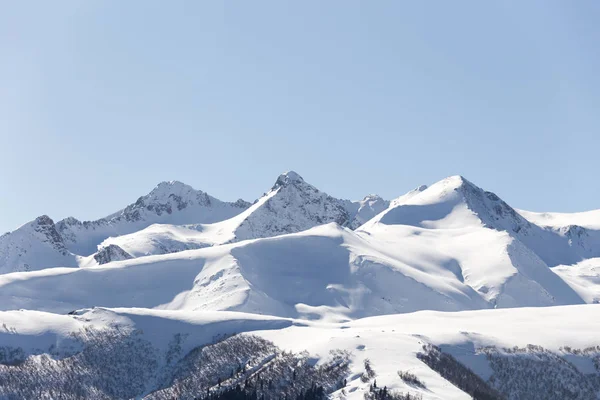 ロシアの山の高いスキーに — ストック写真