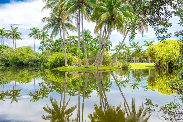 Bellissimo parco con natura tropicale e palme — Foto Stock