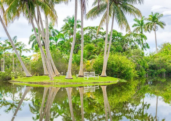 Beautiful park with tropical nature and palms — Stock Photo, Image